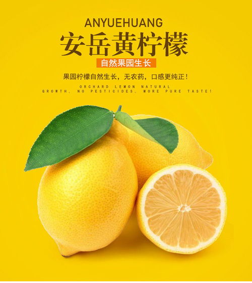 四川安岳黄柠檬5斤新鲜水果泡水现摘现发批发孕妇应季当季1斤