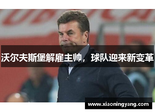 沃尔夫斯堡解雇主帅，球队迎来新变革