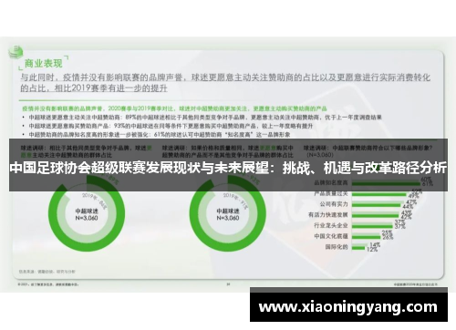 中国足球协会超级联赛发展现状与未来展望：挑战、机遇与改革路径分析