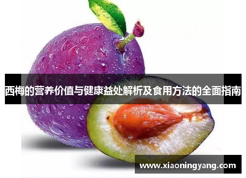 西梅的营养价值与健康益处解析及食用方法的全面指南