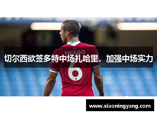 切尔西欲签多特中场扎哈里，加强中场实力