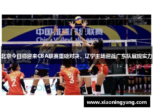 北京今日将迎来CBA联赛重磅对决，辽宁主场迎战广东队展现实力