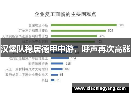 汉堡队稳居德甲中游，呼声再次高涨