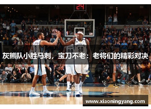 灰熊队小胜马刺，宝刀不老：老将们的精彩对决