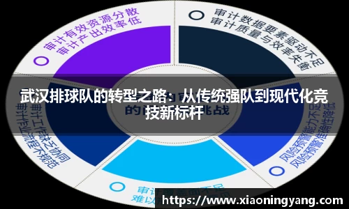 武汉排球队的转型之路：从传统强队到现代化竞技新标杆