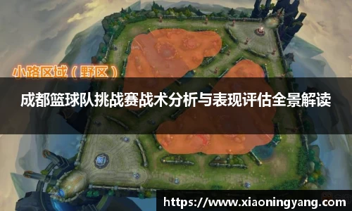 成都篮球队挑战赛战术分析与表现评估全景解读