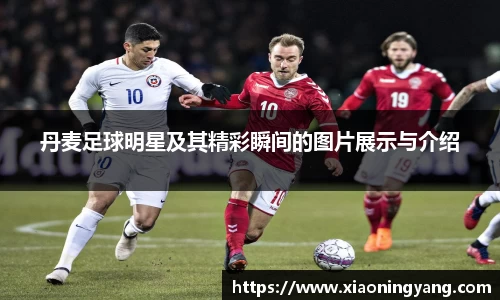 丹麦足球明星及其精彩瞬间的图片展示与介绍